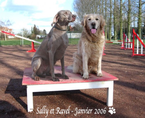 Ravel & Sally3 datée.jpg